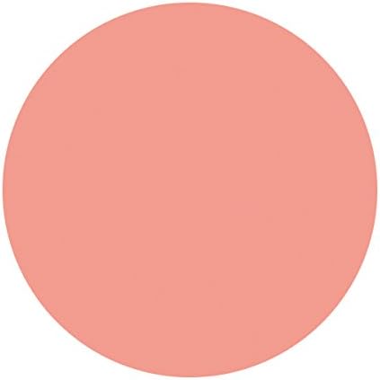 [Shiseido] MAJOLICA MAJORCA Puff De Cheek PK301 7g