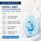 Hada Labo Gokujyun Hyaluronic Acid Foaming Face Wash 160ml